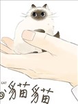掌心猫猫