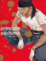 principle原則