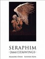 Seraphim2亿6661万3336只天使之翼