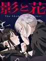 影与花