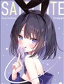 SATELLITE